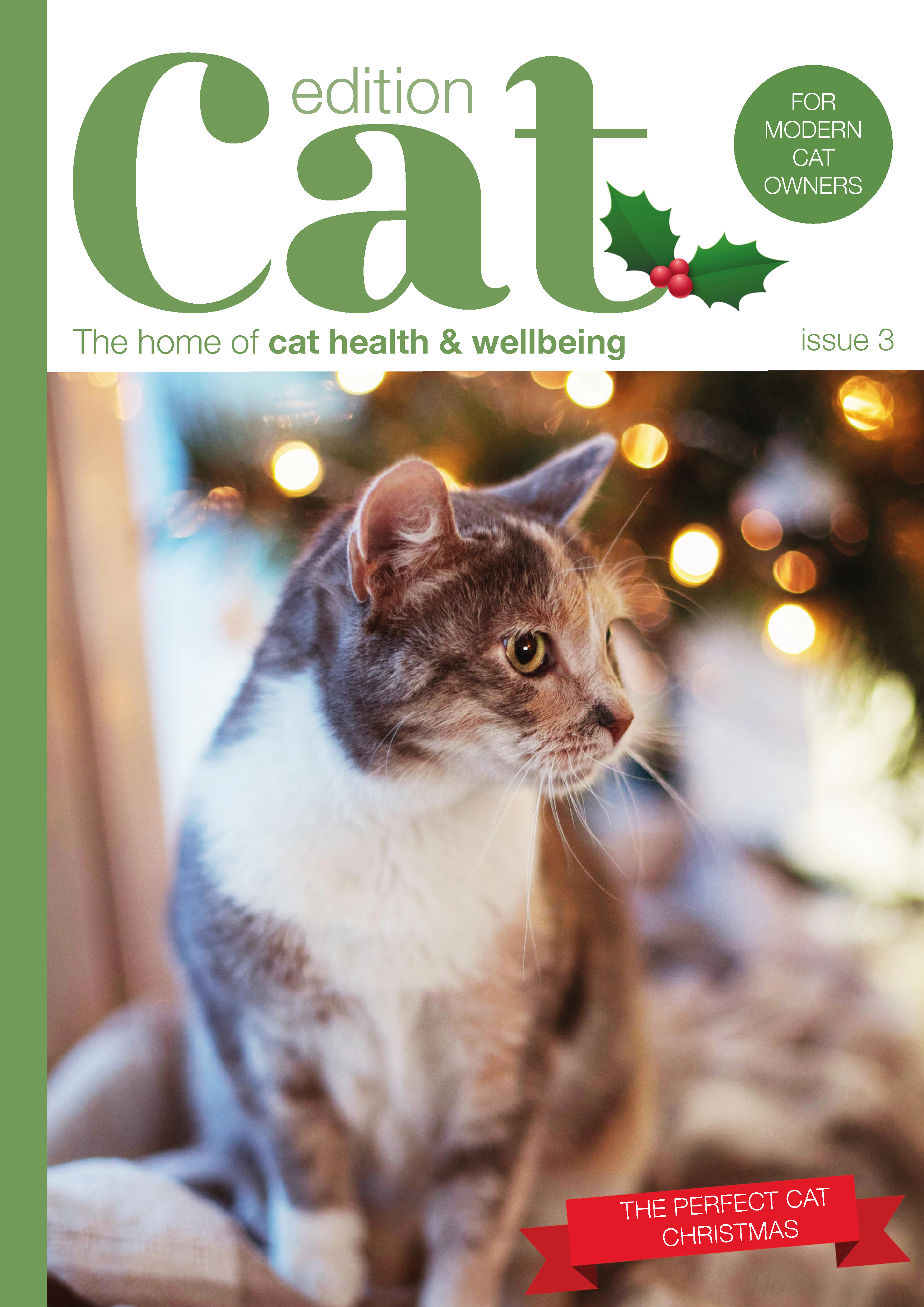 Issue 3