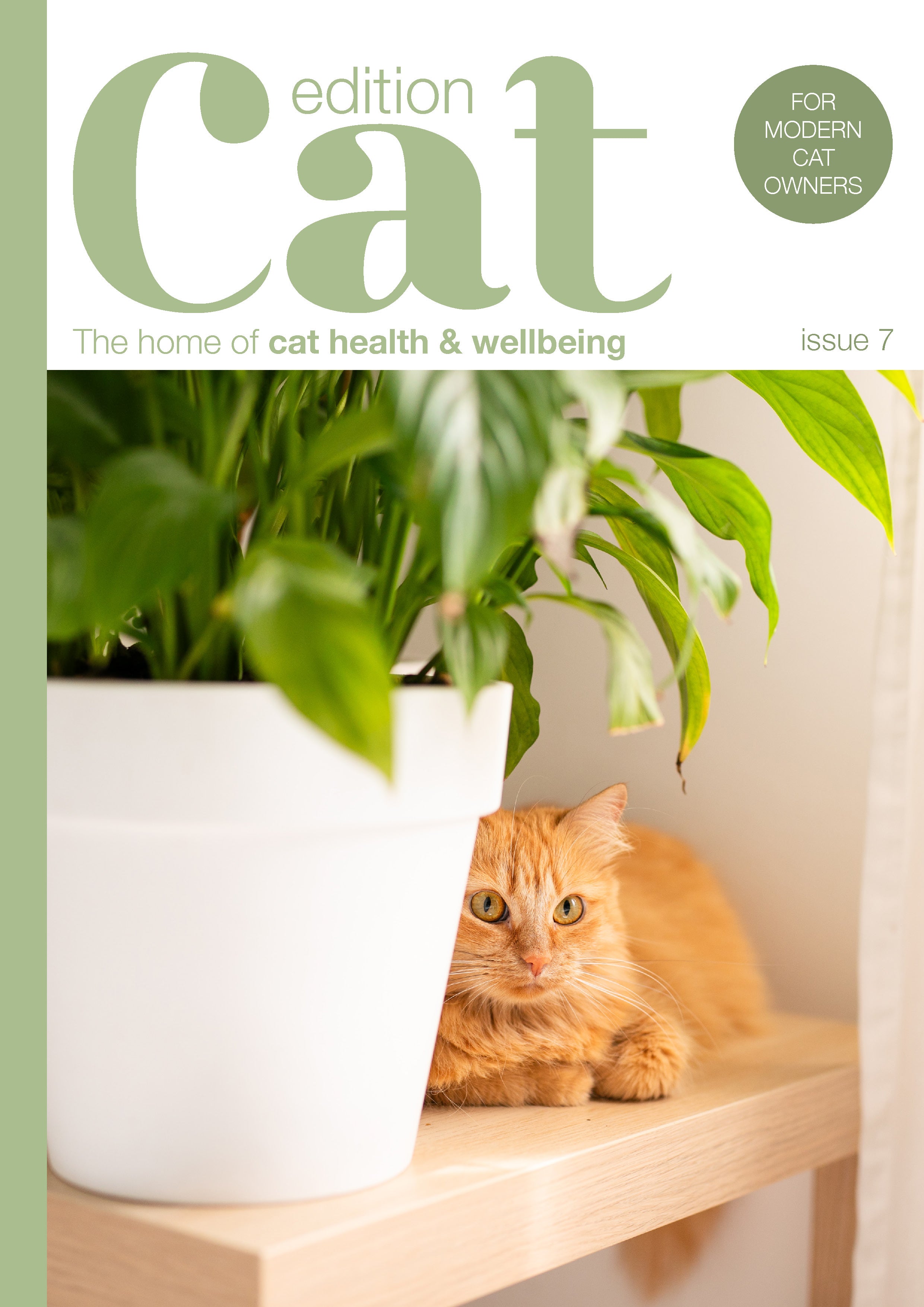 Issue 7