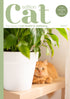 Issue 7